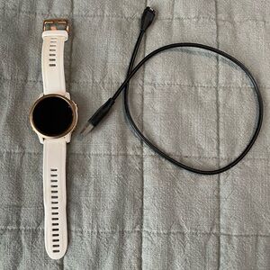 Garmin Fenix 6s pro edition